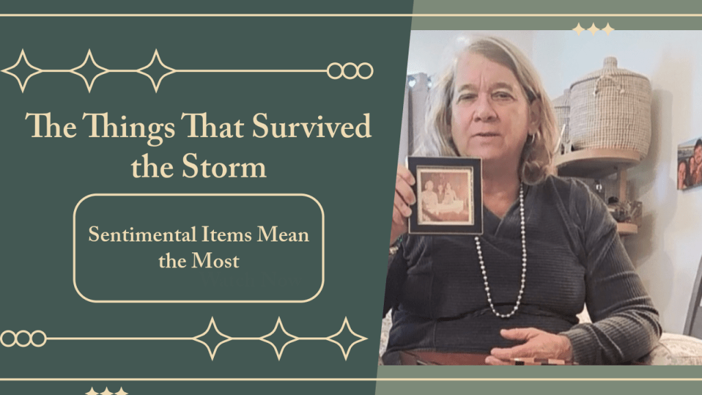 The Things That Survived the&nbsp;Storm